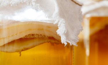 Kombucha featured